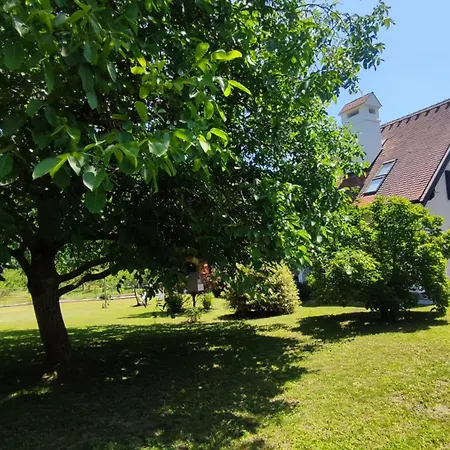 Wachauzeit * Willendorf in der Wachau