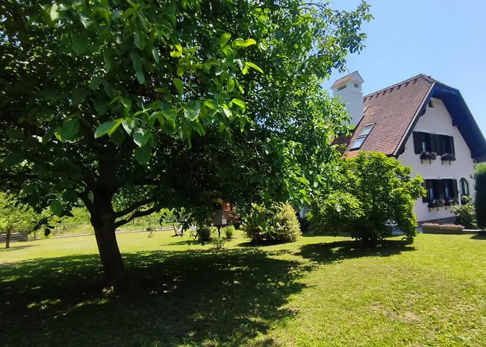 Wachauzeit * Willendorf in der Wachau